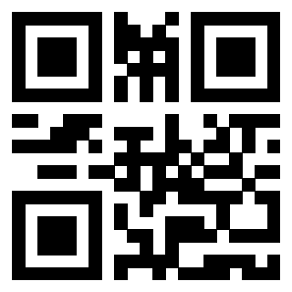 Il Qr Code di 3919661856