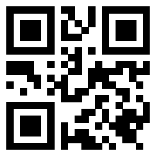 QrCode di 3919661869