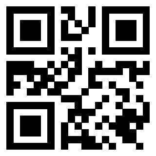 Il Qr Code di 3919661880