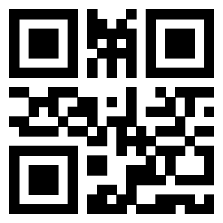 Il Qr Code di 3919661893