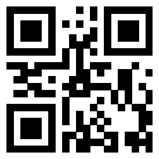 Il Qr Code di 3919661904