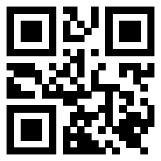 QrCode di 3919661905
