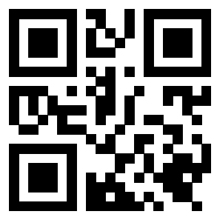 3919661919 QrCode associato