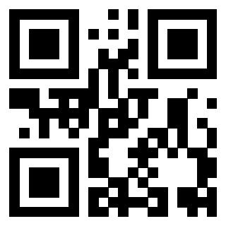 Il Qr Code di 3919661952