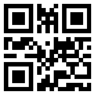 Il Qr Code di 3919661978