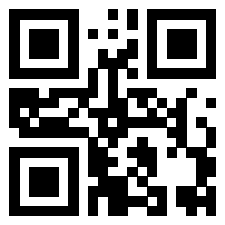 Il Qr Code di 3919662053