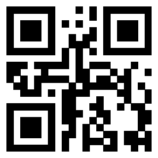 Il Qr Code di 3919662107
