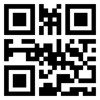 Il Qr Code di 3919662162