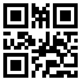 Il Qr Code di 3919662170