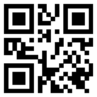 Il Qr Code di 3919662190
