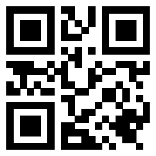 Il Qr Code di 3919662210
