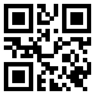 3919662213 QrCode associato