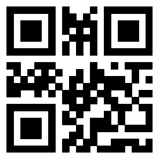 Il Qr Code di 3919662229
