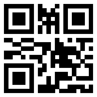 Il Qr Code di 3919662246