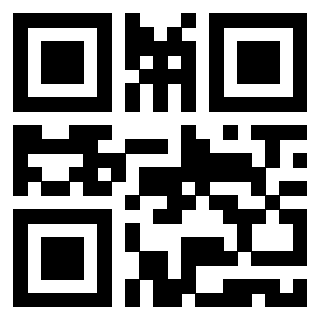 Il Qr Code di 3919662258