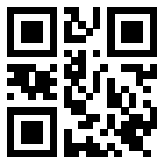 Il Qr Code di 3919662303