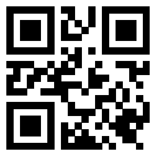 Il Qr Code di 3919662319