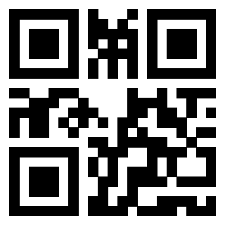 Il Qr Code di 3919662325