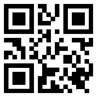 3919662343 Qr Code associato