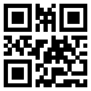 Il Qr Code di 3919662372