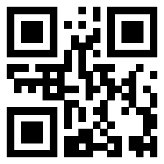 Il Qr Code di 3919662376