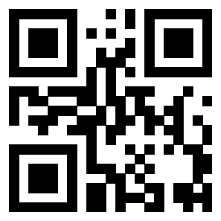 Il Qr Code di 3919662378