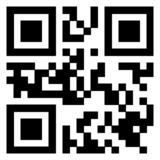 Il Qr Code di 3919662413