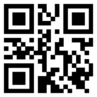 Il Qr Code di 3919662417