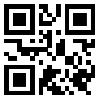 Il Qr Code di 3919662453
