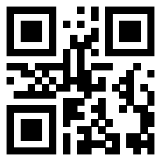 Il Qr Code di 3919662456