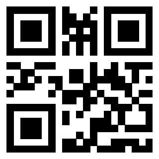 Il Qr Code di 3919662459