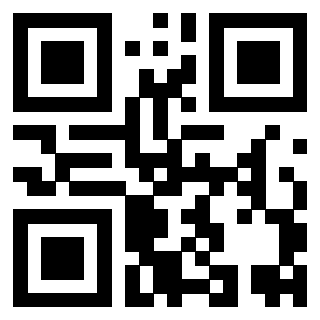 Il Qr Code di 3919662487