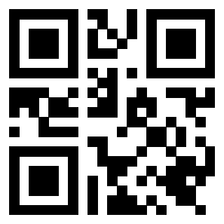 Il Qr Code di 3919662500