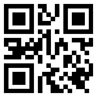 Il Qr Code di 3919662526