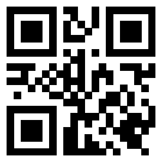 Il Qr Code di 3919662529
