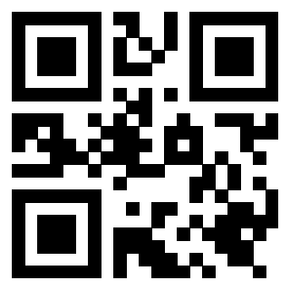 Il Qr Code di 3919662536