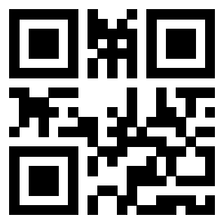 Il Qr Code di 3919662541
