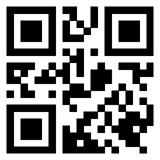 Il Qr Code di 3919662571
