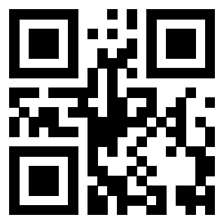 Il Qr Code di 3919662574