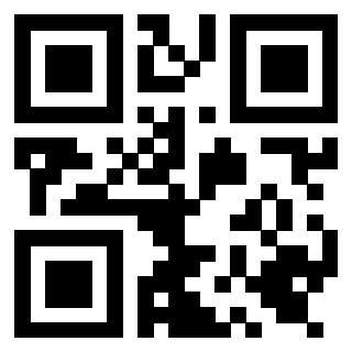 Il Qr Code di 3919662593