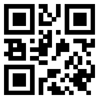 Il Qr Code di 3919662596