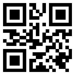 Il Qr Code di 3919662608