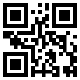 Il Qr Code di 3919662613