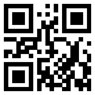 3919729151 Qr Code associato