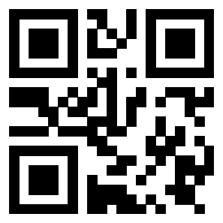 Il Qr Code di 3919729156