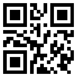 3919729166 QrCode associato