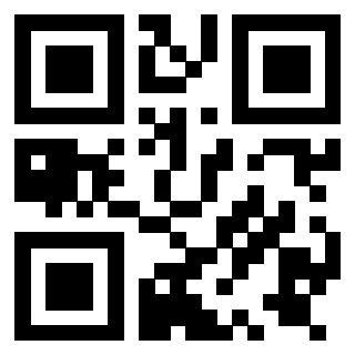 3919729169 QrCode associato