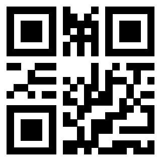Il Qr Code di 3919729171