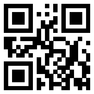 QrCode di 3919729175