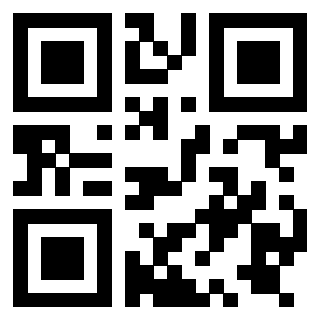 3919729195 QrCode associato